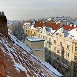 Odstranění sesuvu sněhu BD-Umělěcká 7 Praha