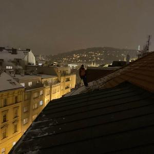 Odstranění sněhu BD-Ostrovní 9 Praha